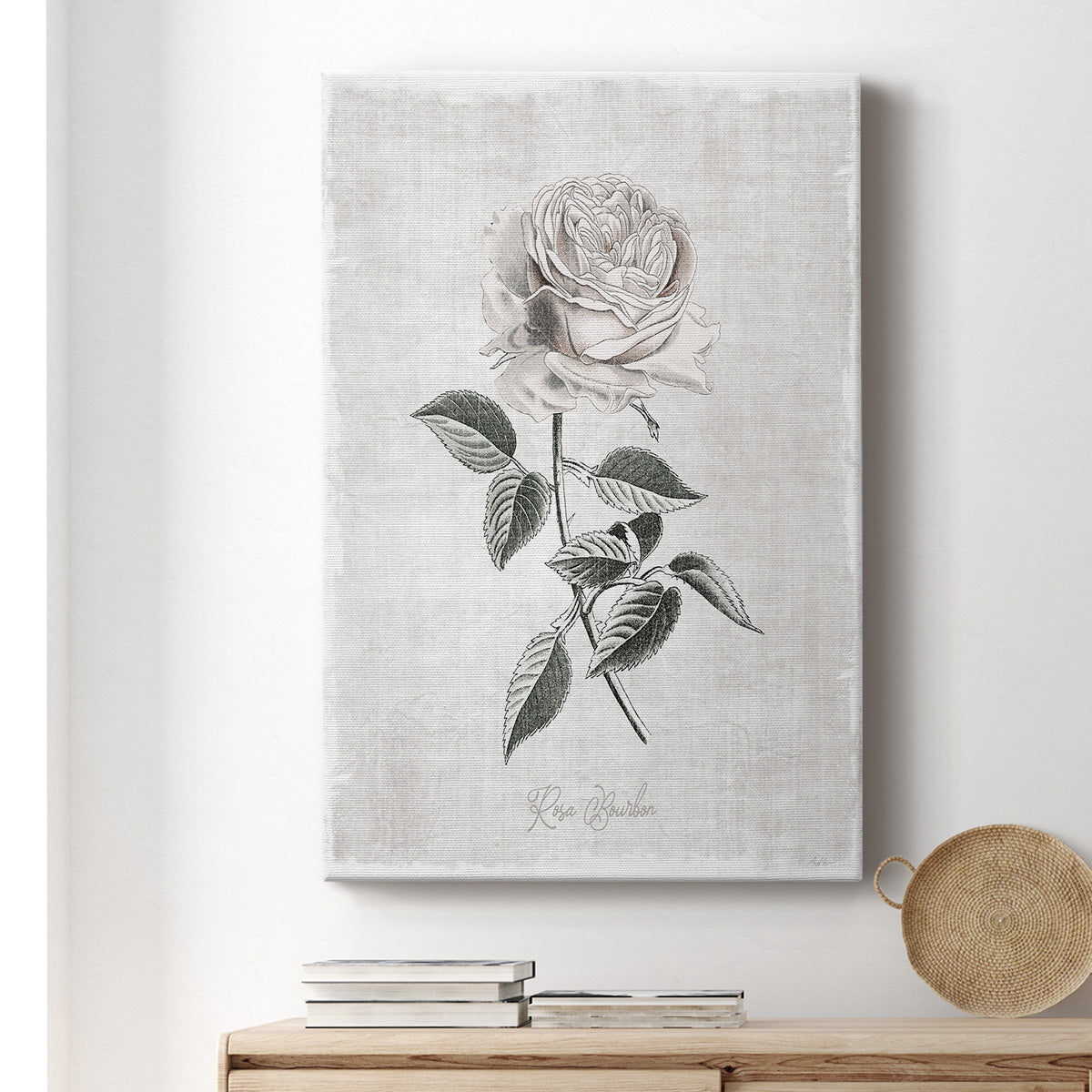 Vintage Botanical I Premium Gallery Wrapped Canvas - Ready to Hang