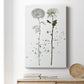 Botany Flower IV Premium Gallery Wrapped Canvas - Ready to Hang