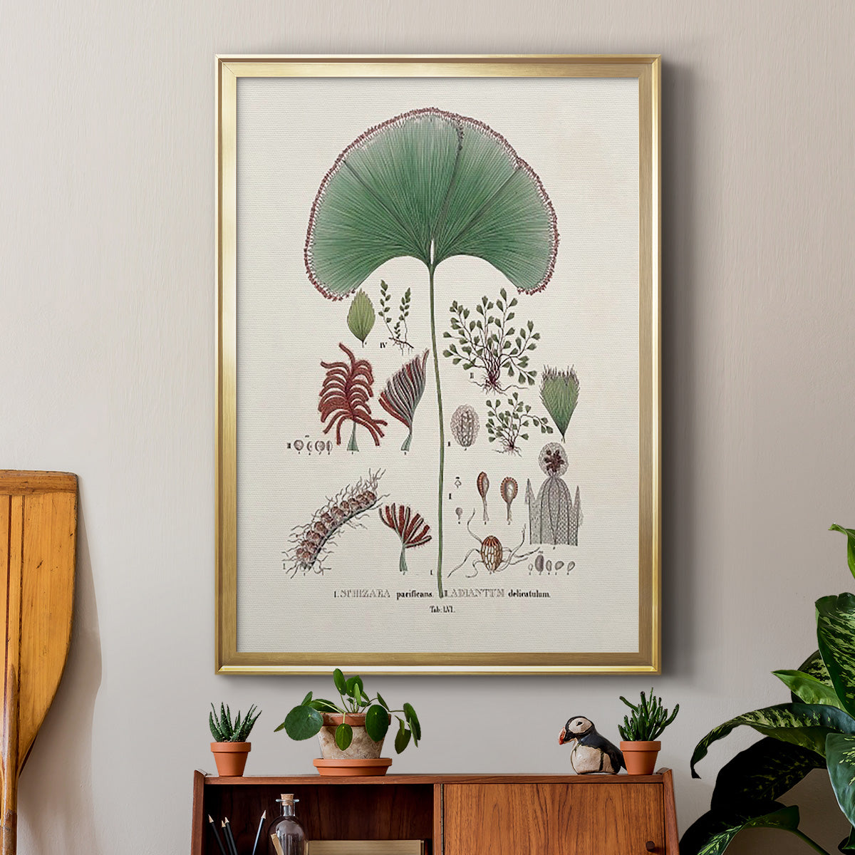 Botanical Society Ferns III - Modern Framed Canvas Print