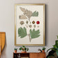 Leaves & Berries IV - Modern Framed Canvas Print