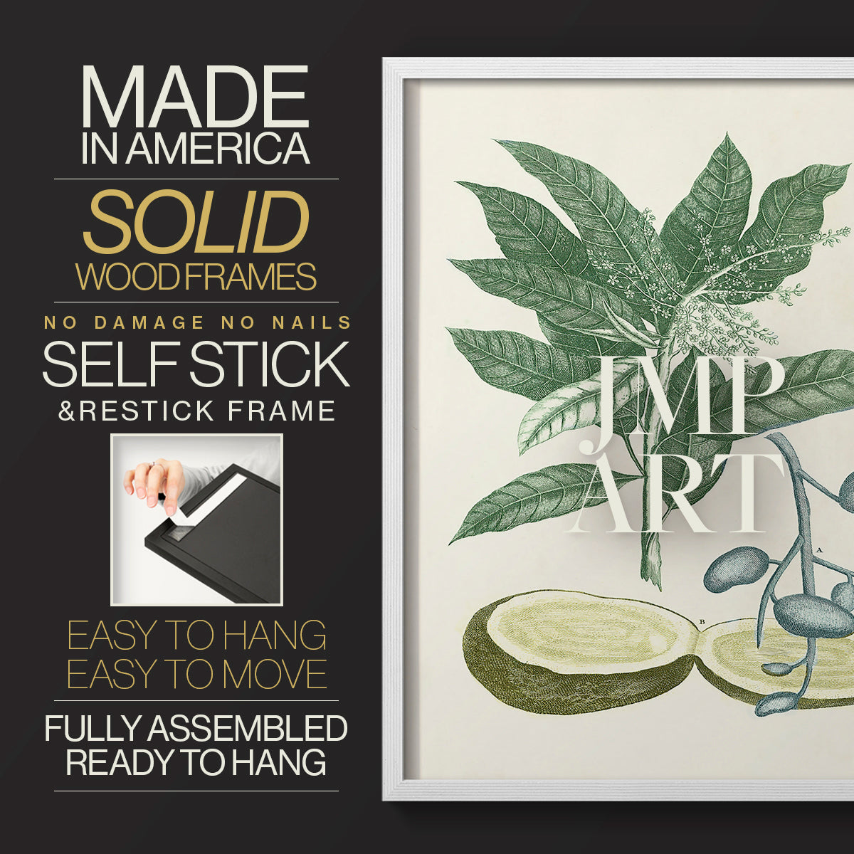 Buchoz Tropicals IV - Restickable Framed Art Print