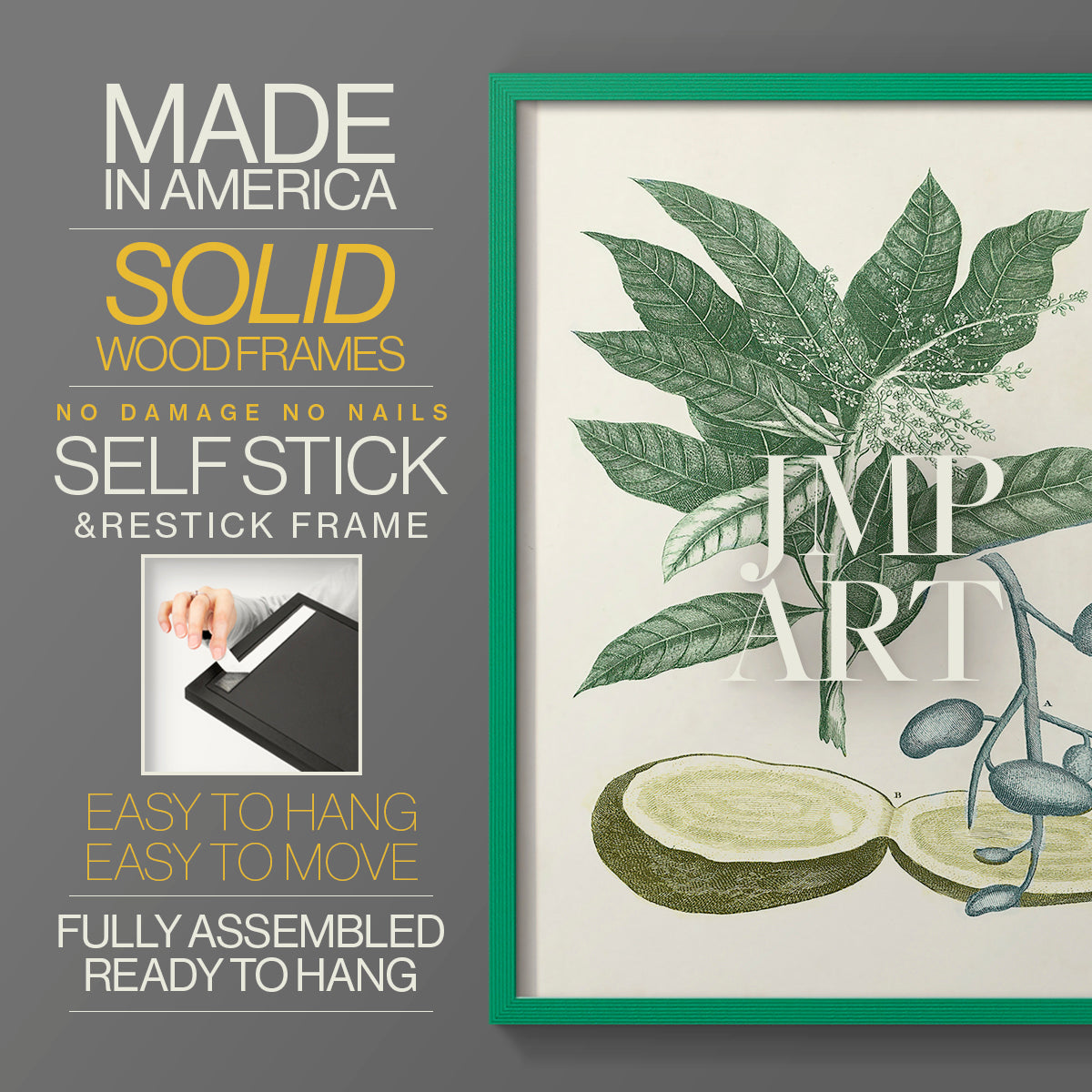 Buchoz Tropicals IV - Restickable Framed Art Print