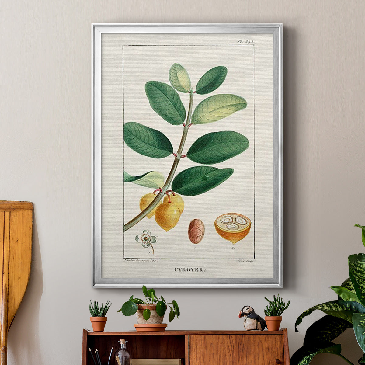 Turpin Tropical Botanicals V - Modern Framed Canvas Print