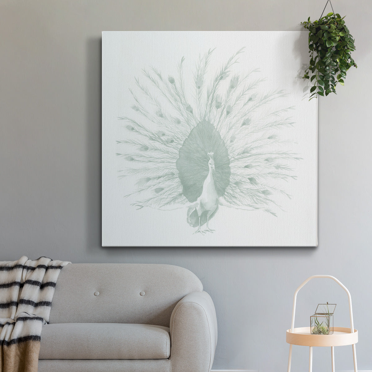 Sage Peacock I - Canvas Art Print