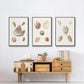 Pastel Knorr Shells IV - Framed Premium Gallery Wrapped Canvas L Frame 3 Piece Set - Ready to Hang