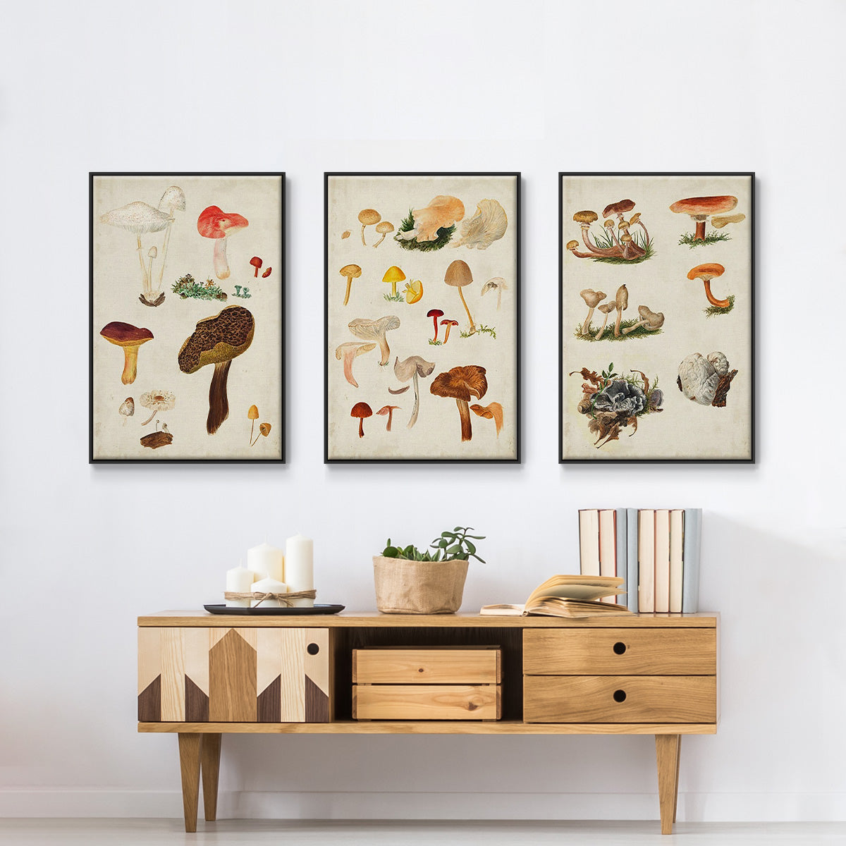 Mushroom Species VI - Framed Premium Gallery Wrapped Canvas L Frame 3 Piece Set - Ready to Hang