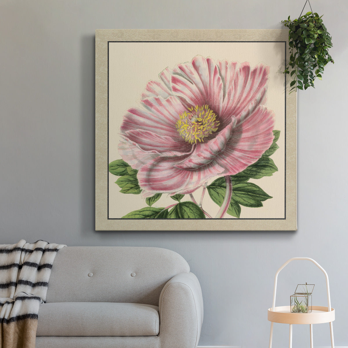 Peony Collection II - Canvas Art Print