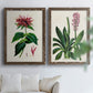 Set of two walnut barnwood framed canvas prints depicting detailed blossoms, leaves, roots, and archival cream grounds arranged across two complementary compositions above a sofa in a bright living space.