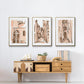 Blush Architecture Study IV - Framed Premium Gallery Wrapped Canvas L Frame 3 Piece Set - Ready to Hang