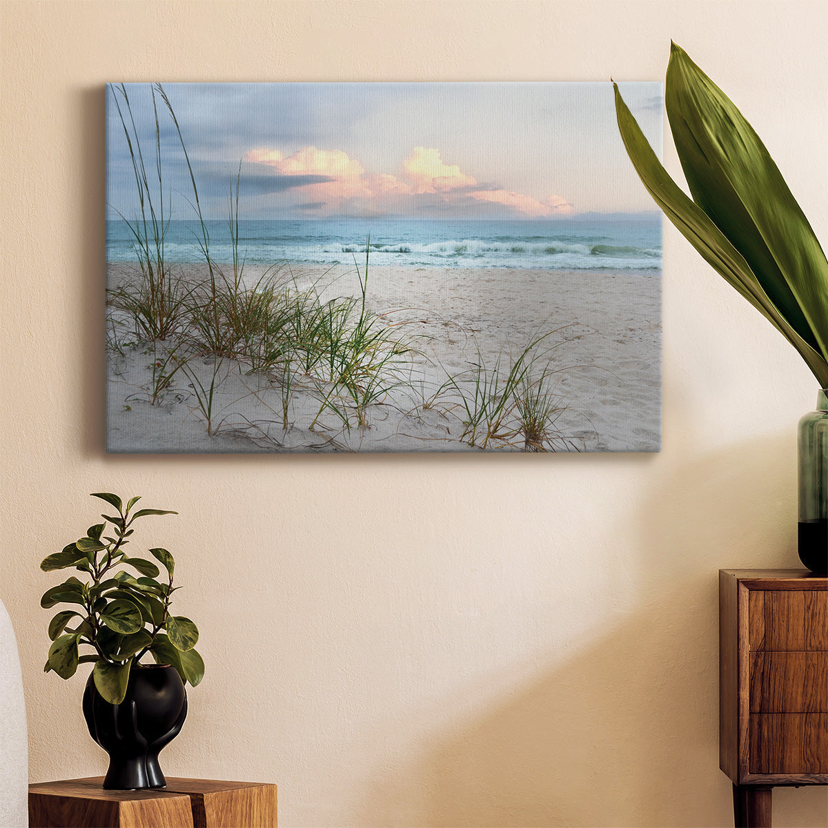 Beach Driftwood - Canvas Art Print