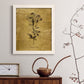 Gold Sketch Botanical II - Barnwood Framed Canvas Print