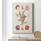 Knorr Shells & Coral II Premium Gallery Wrapped Canvas - Ready to Hang