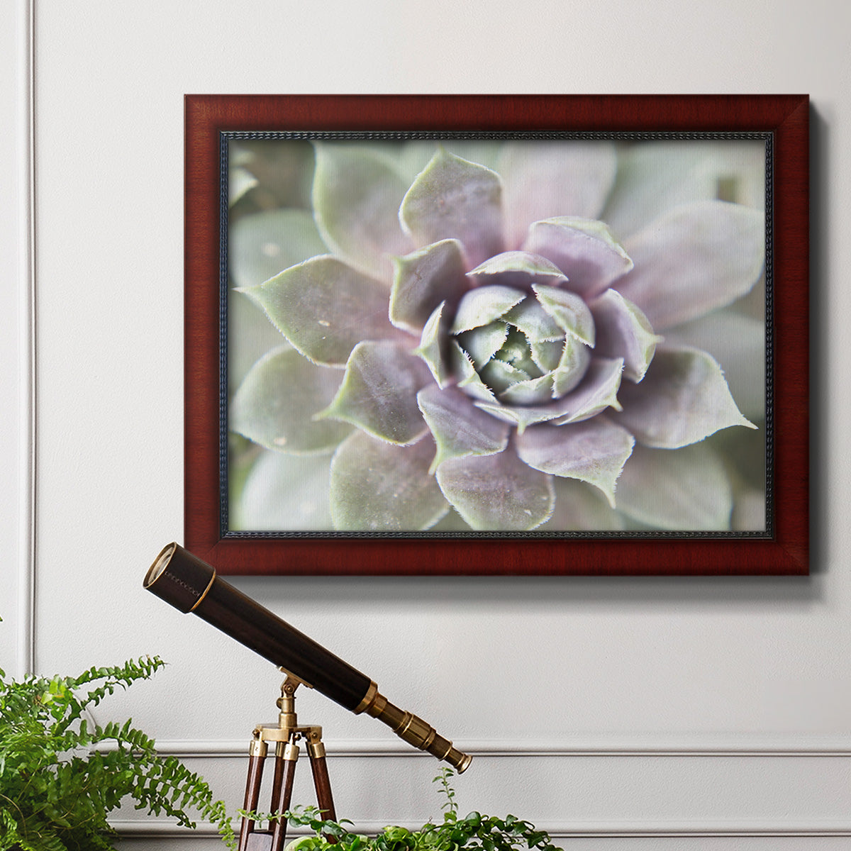 Succulent Glow II - Ornate Framed Canvas Print