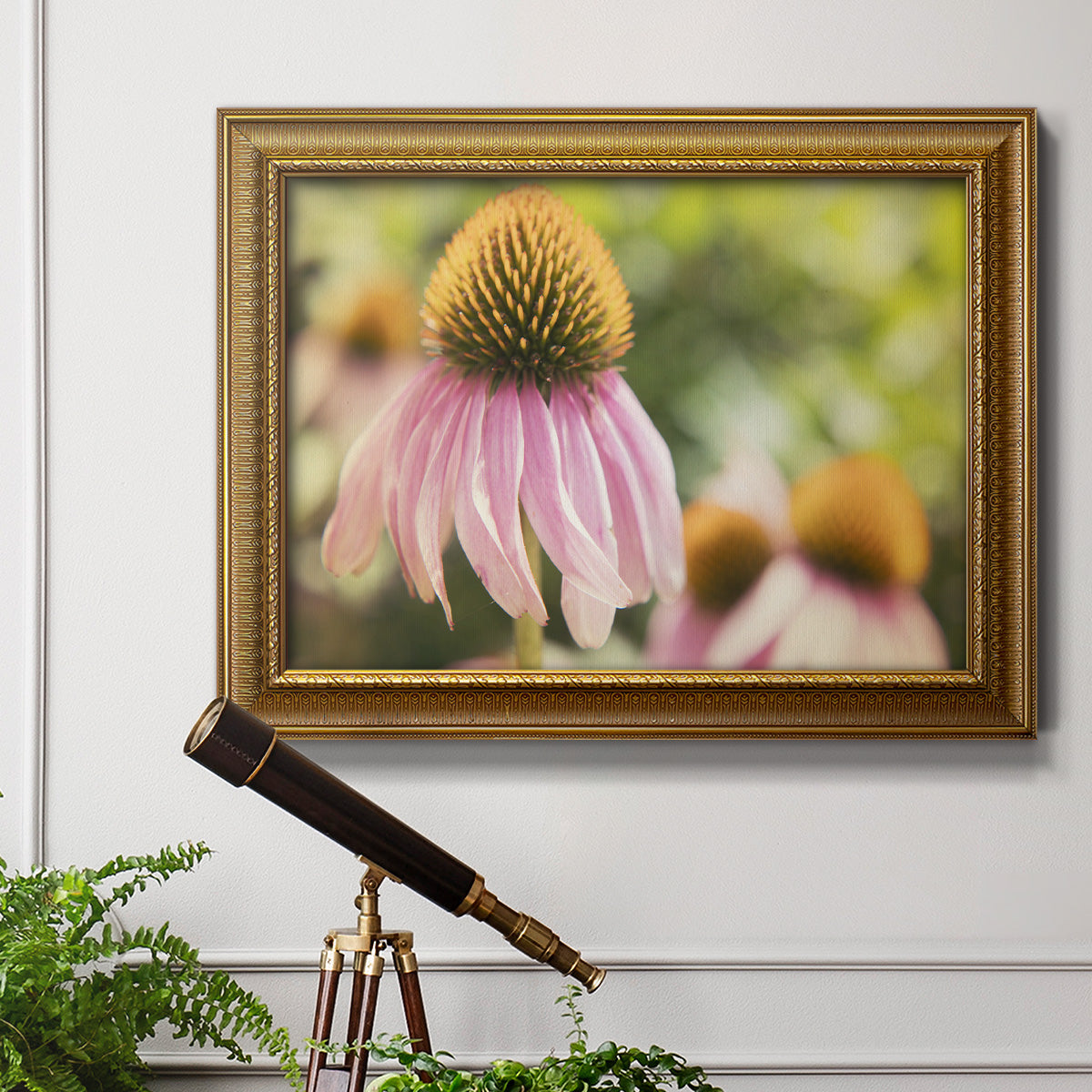 Echinacea Study II Premium Framed Canvas- Ready to Hang