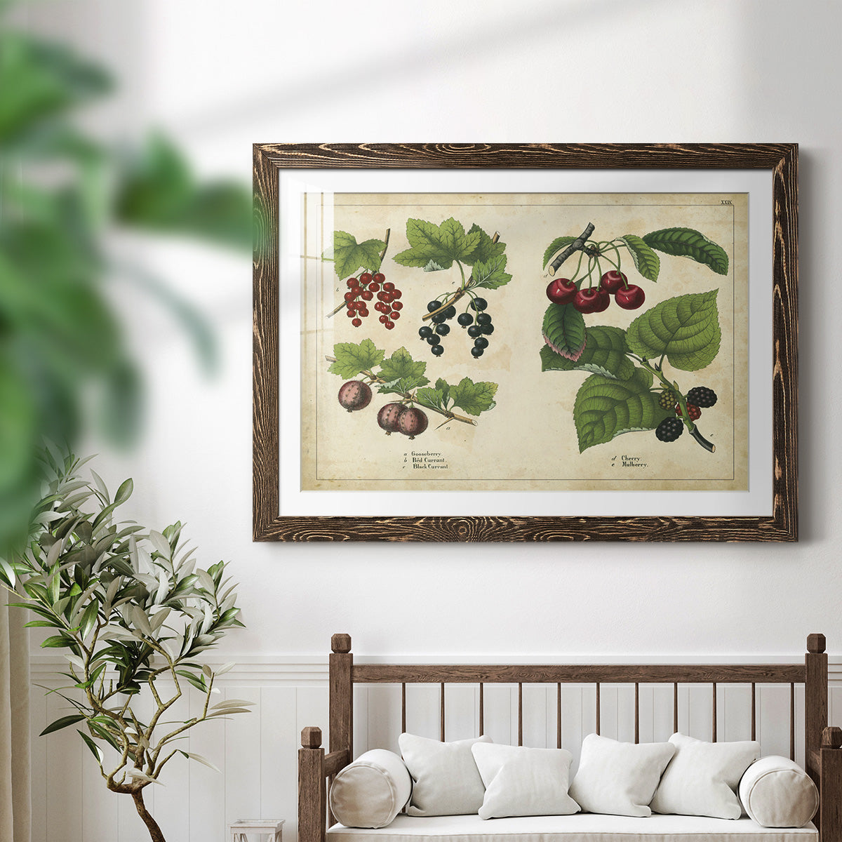 Kitchen Fruits III-Premium Framed Print - Ready to Hang