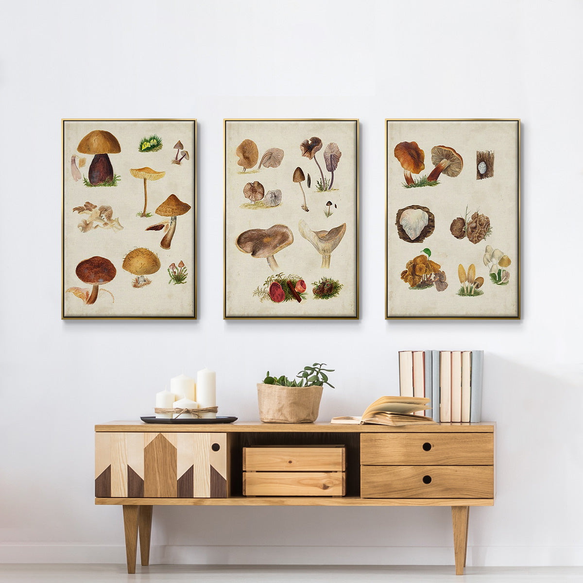 Mushroom Species I - Floater Framed Canvas Set