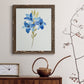 Blue Blossom Botanical III - Premium Canvas Framed in Barnwood - Ready to Hang