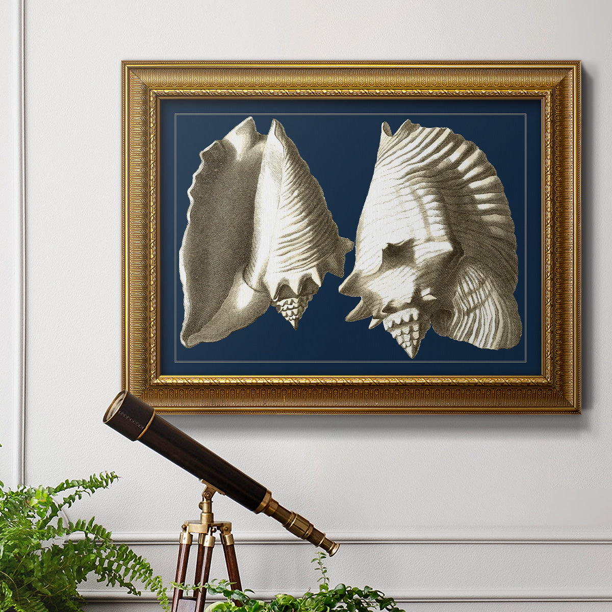 Conch Shells on Navy I Premium Framed Canvas- Ready to Hang