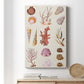 Coral & Shell Collage II - Canvas Art Print