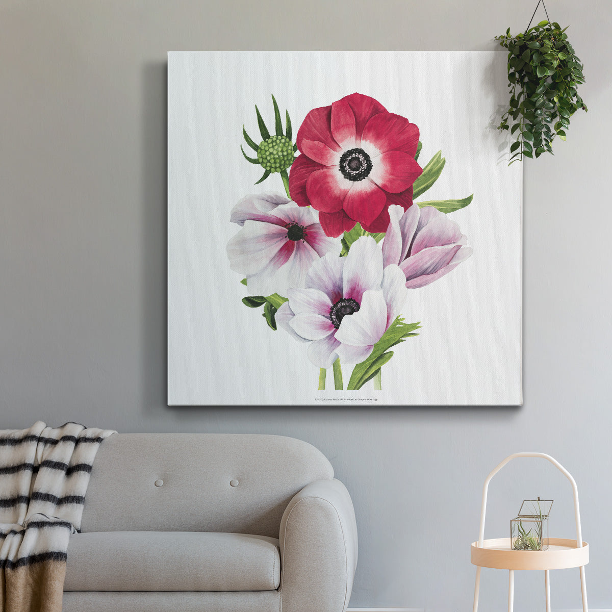 Anemone Blooms I - Canvas Art Print