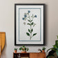 Shabby Chic Botanical II - Modern Framed Canvas Print