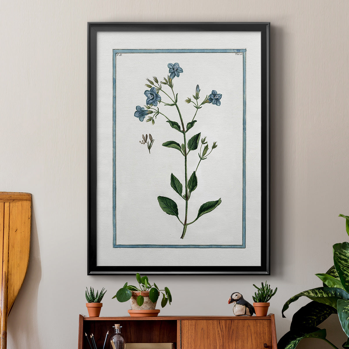 Shabby Chic Botanical II - Modern Framed Canvas Print