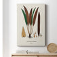 Botanical Society Ferns I - Canvas Art Print