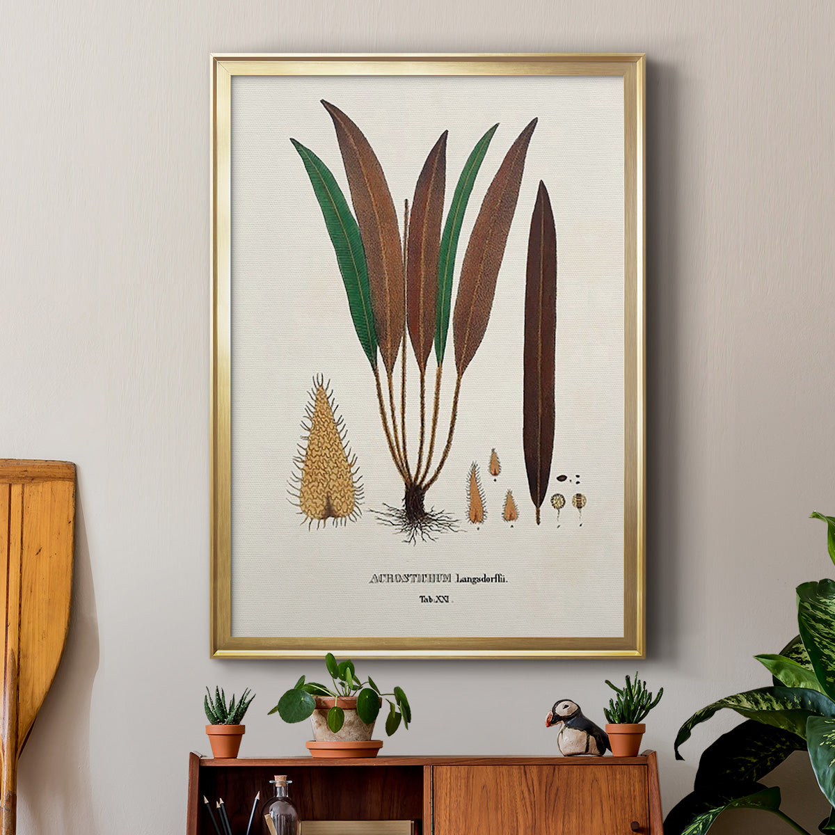 Botanical Society Ferns I - Modern Framed Canvas Print