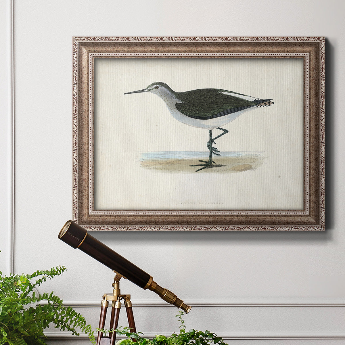 Morris Sandpipers VI Premium Framed Canvas- Ready to Hang