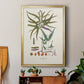 Botanical Society Ferns VIII - Modern Framed Canvas Print