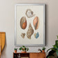 Knorr Shells & Coral I - Modern Framed Canvas Print