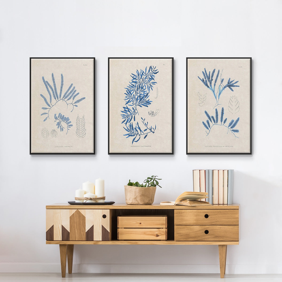 Blue Marine Algae I - Framed Premium Gallery Wrapped Canvas L Frame 3 Piece Set - Ready to Hang