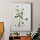 Buttercup Study - Modern Framed Canvas Print