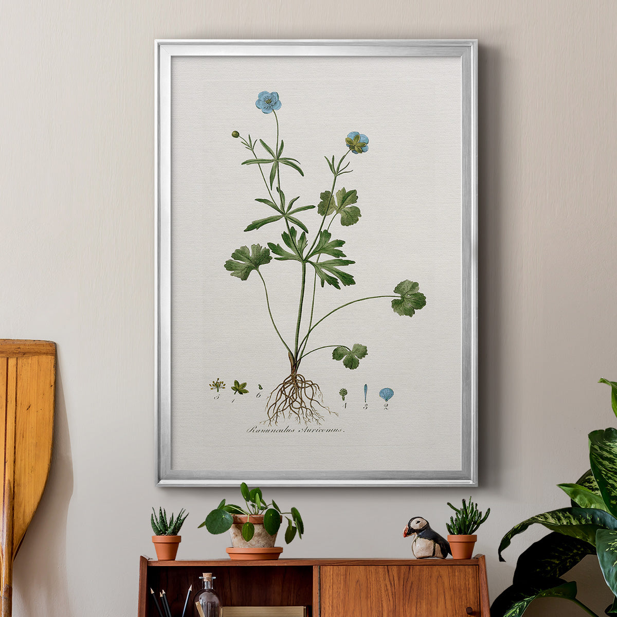 Buttercup Study - Modern Framed Canvas Print