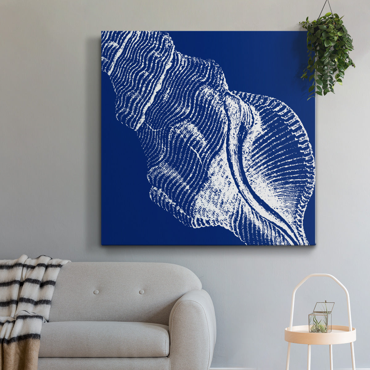 Saturated Shell III - Canvas Art Print