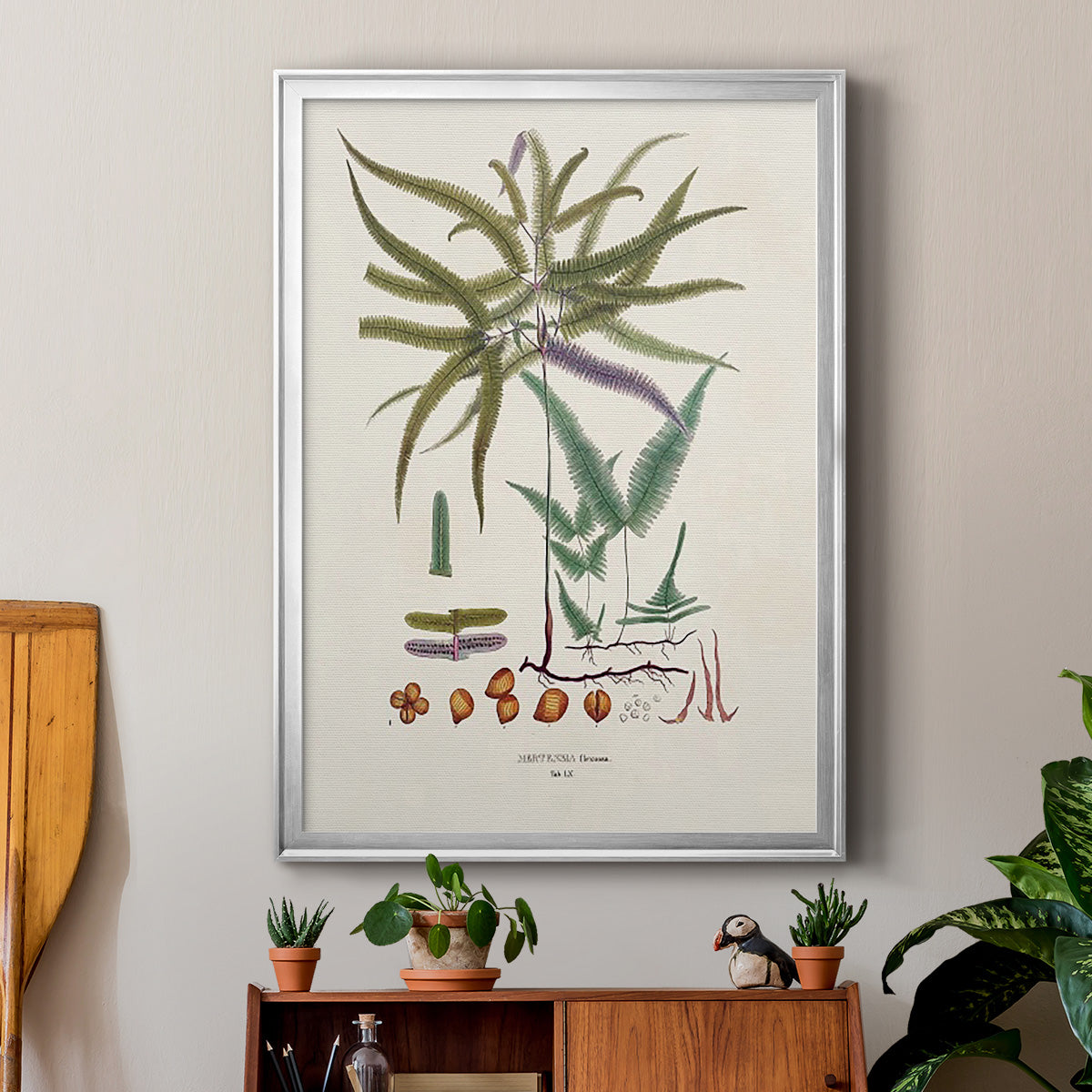 Botanical Society Ferns VIII - Modern Framed Canvas Print