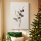 Frostlit Manger Blessing - Canvas Art Print
