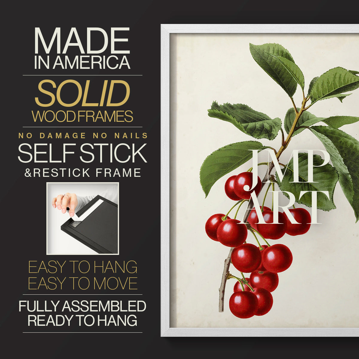 Antique Fruit II - Restickable Framed Art Print
