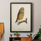 French Owls II - Modern Framed Canvas Print