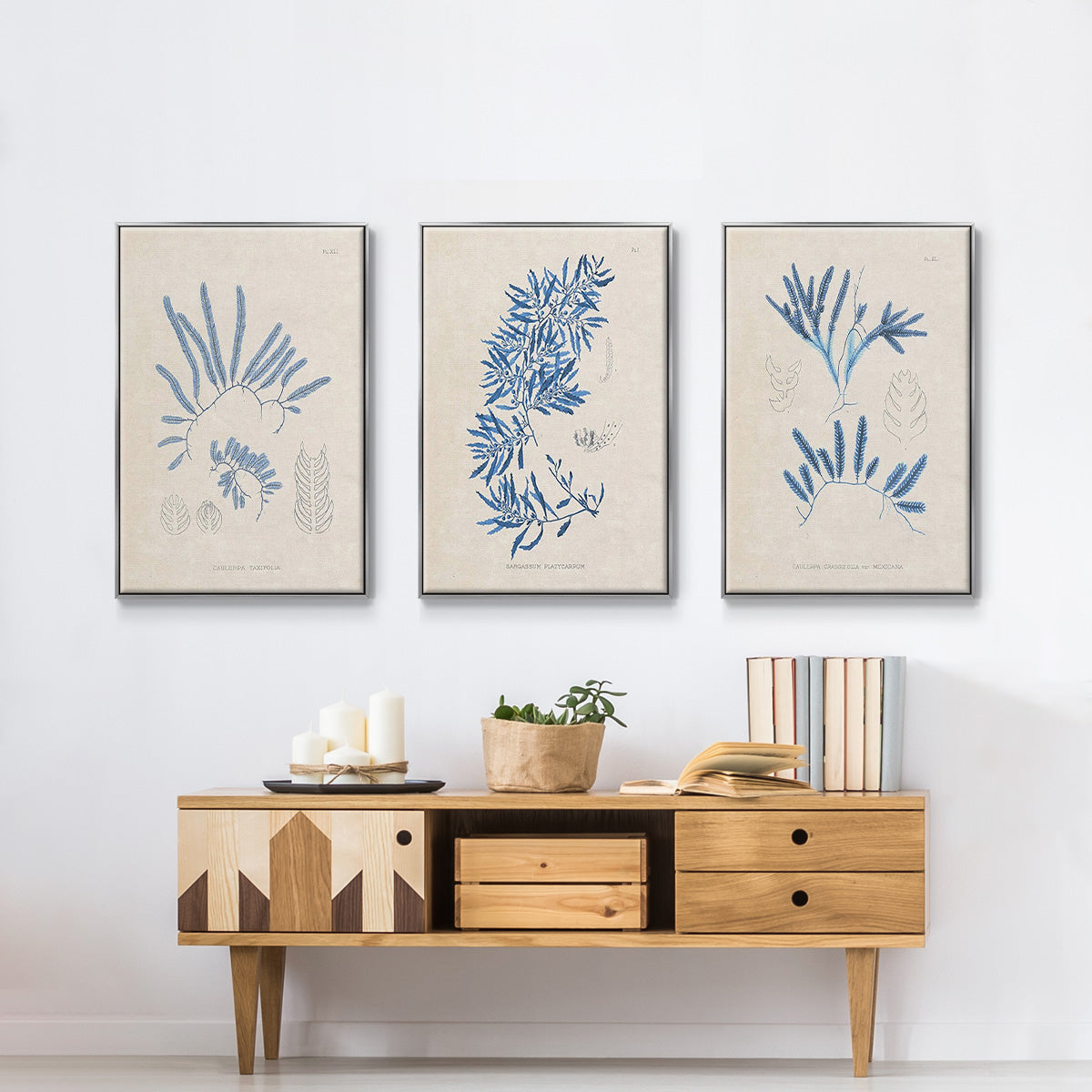 Blue Marine Algae I - Framed Premium Gallery Wrapped Canvas L Frame 3 Piece Set - Ready to Hang