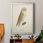 French Owls VI - Modern Framed Canvas Print