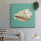 Shell on Aqua II - Canvas Art Print