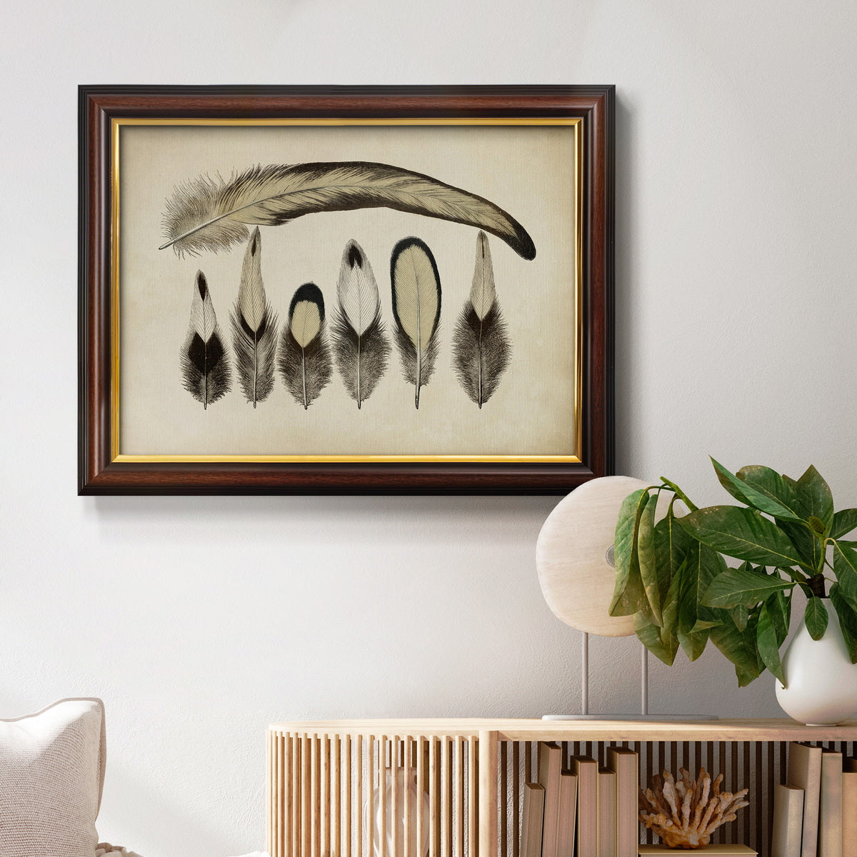 Vintage Feathers VII Premium Framed Canvas- Ready to Hang