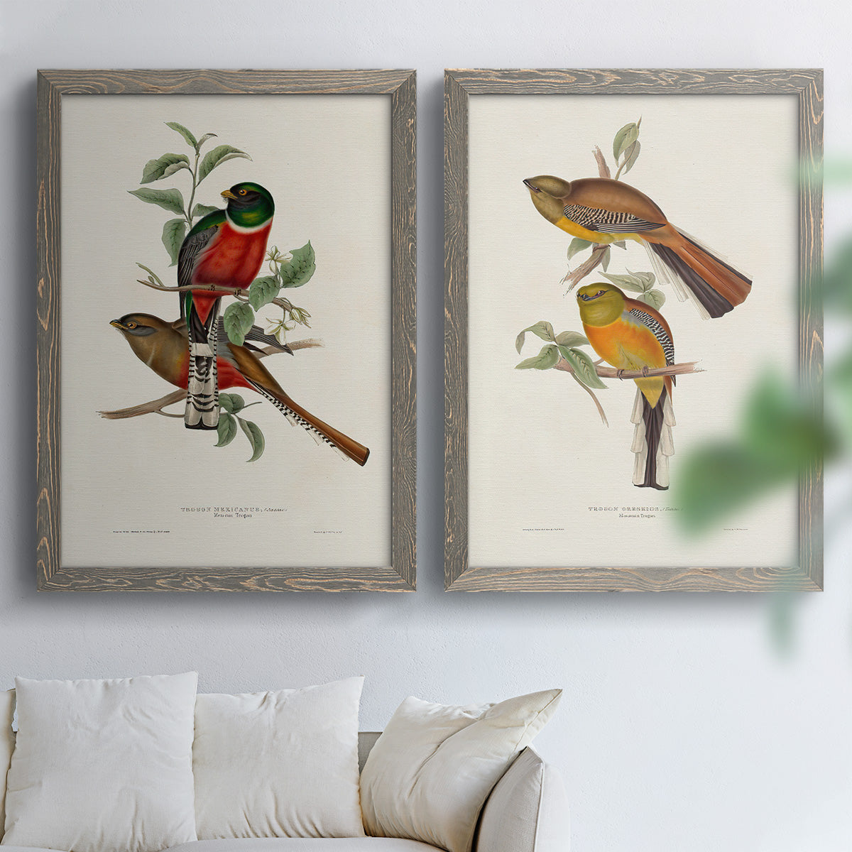 Elegant Trogons I - Premium Framed Canvas 2 Piece Set - Ready to Hang