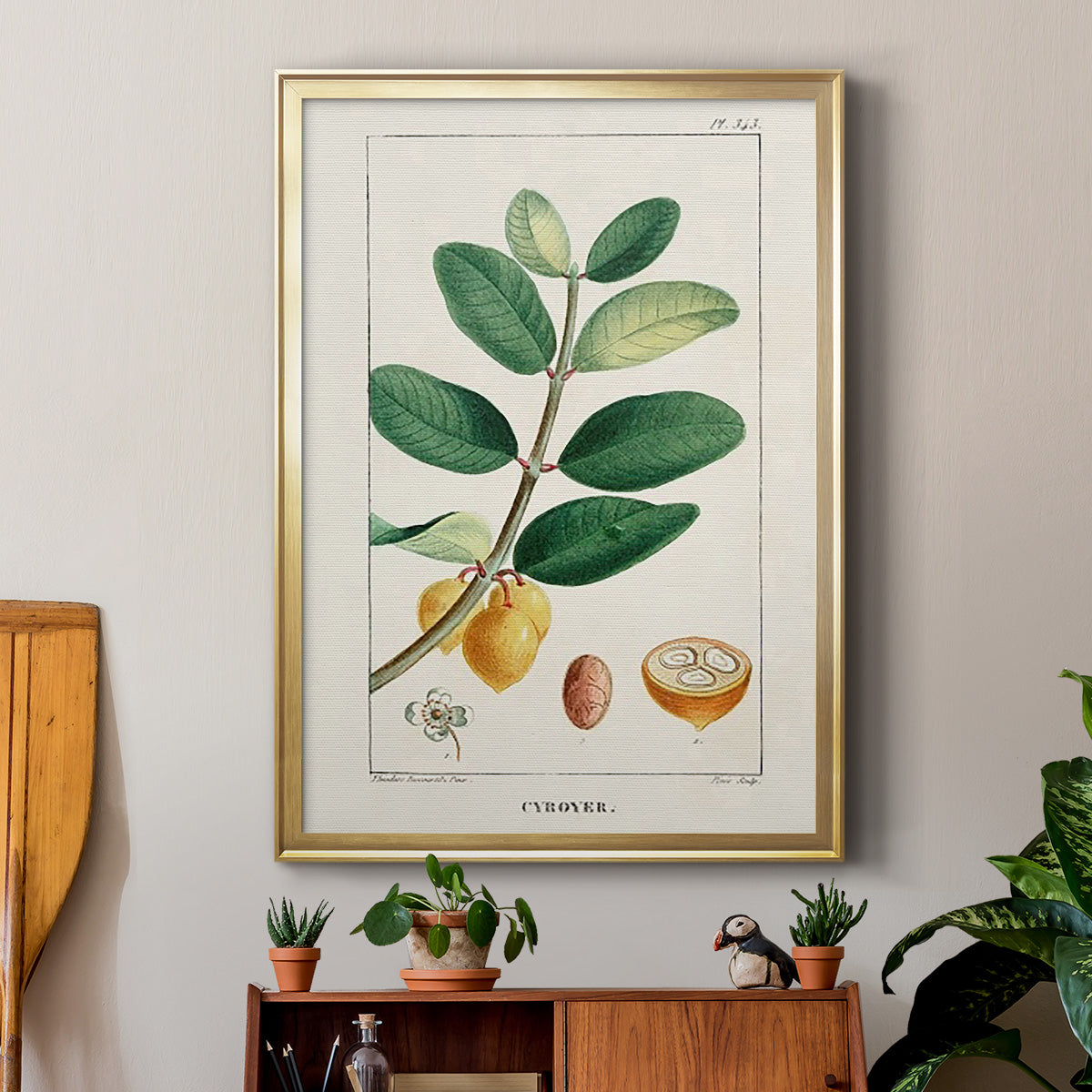 Turpin Tropical Botanicals V - Modern Framed Canvas Print