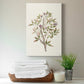 Twig Study II Premium Gallery Wrapped Canvas - Ready to Hang