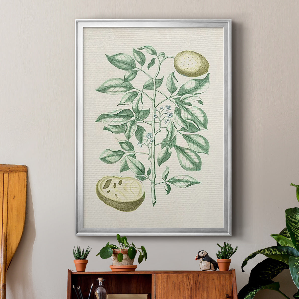 Buchoz Tropicals III - Modern Framed Canvas Print