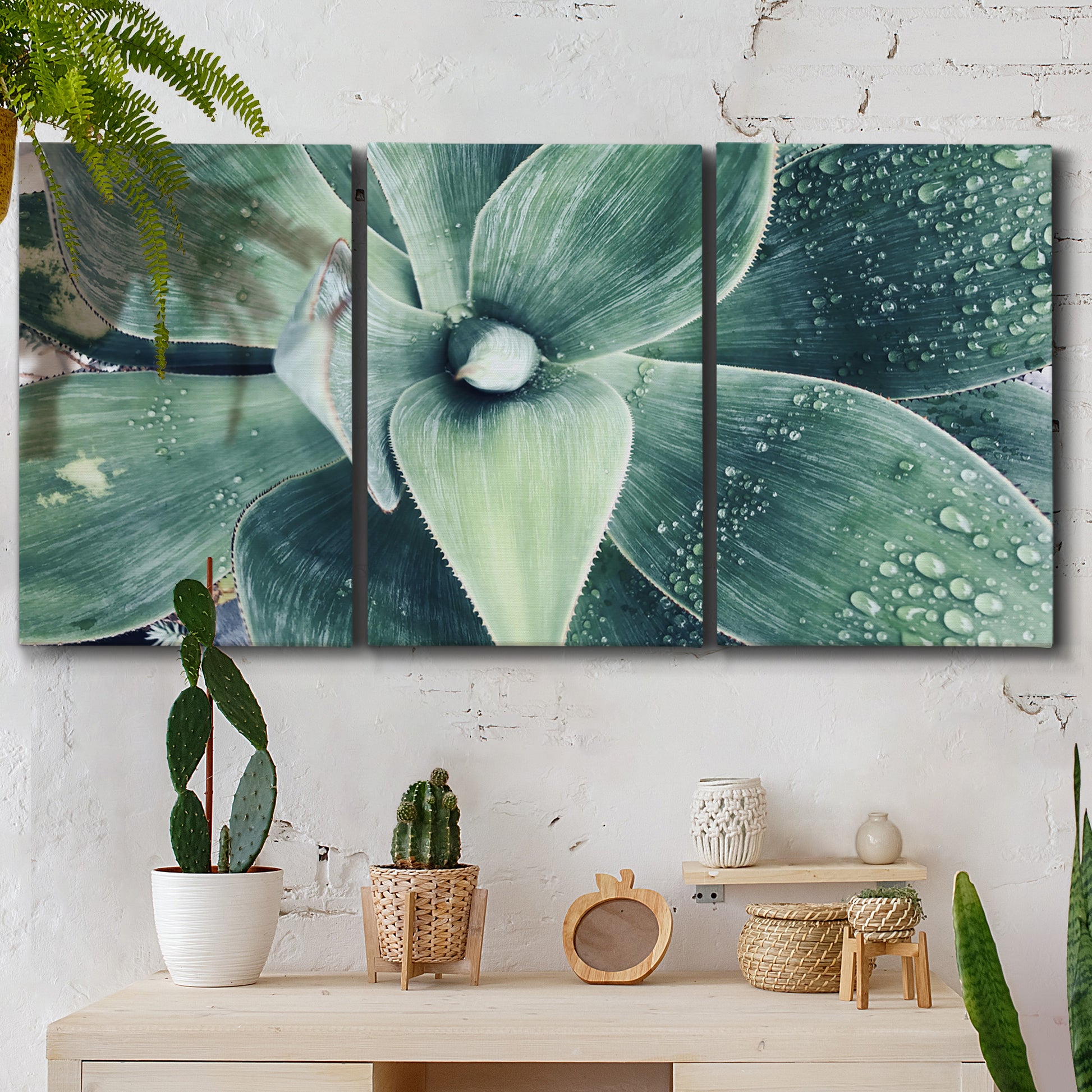 Three-panel canvas wall art featuring green succulent plant photograph, displayed in a boho-chic entryway above a console table.
