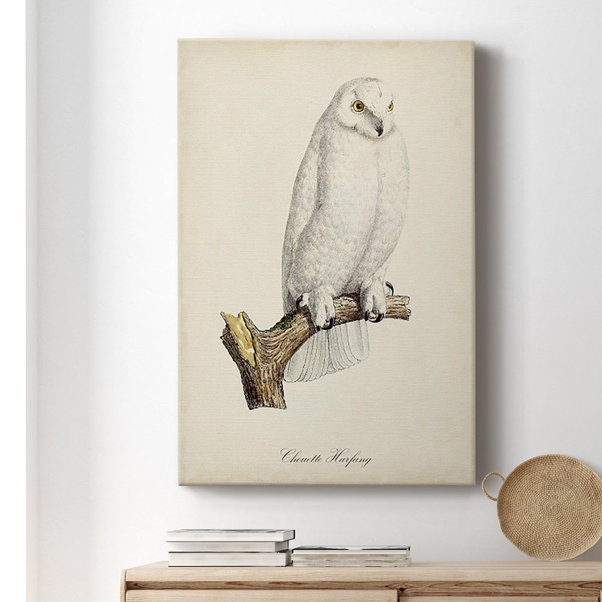 French Owls IV Premium Gallery Wrapped Canvas - Ready to Hang