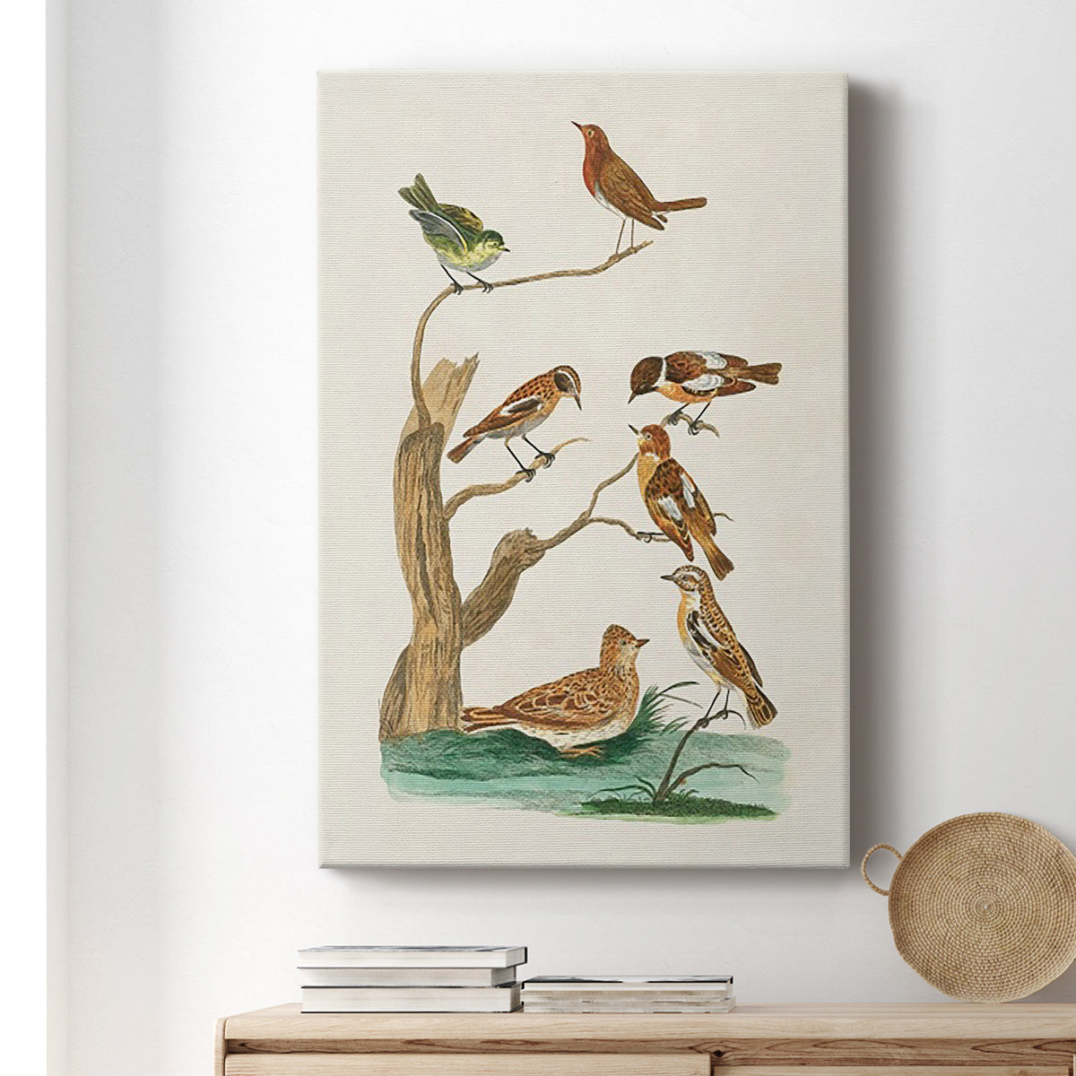 Antique Birds in Nature III Premium Gallery Wrapped Canvas - Ready to Hang